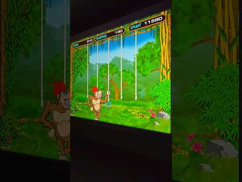evoplay slot