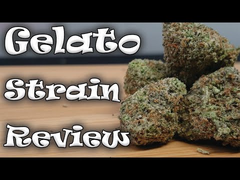 Greatest businesses in the Marijuana shop on the Trustpilot
