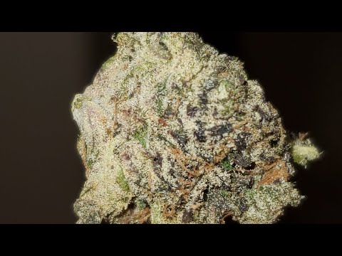 House THC Throw away Vape Pencils Entertainment and Medical Cannabis Vapes