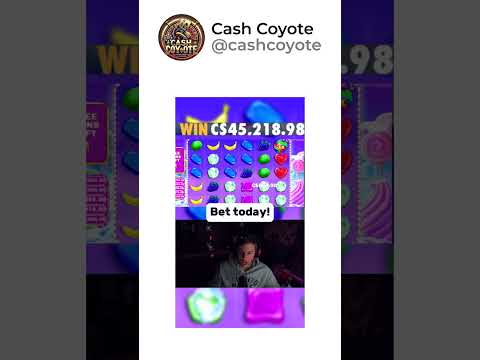Παίξτε καζίνο σε Casino Winshark Ελλάδα: Διαδικτυακές Παιχνídia στον κόσμο της τύχης!
