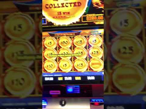 Gioca ai Giochi Live Dragon Slots: Come Divertirti al Casinò Online in Italia