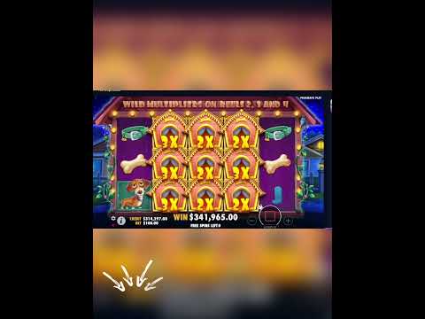 Gioca al Casinò Online in Italia con Sava Spin: Scopri di Più!