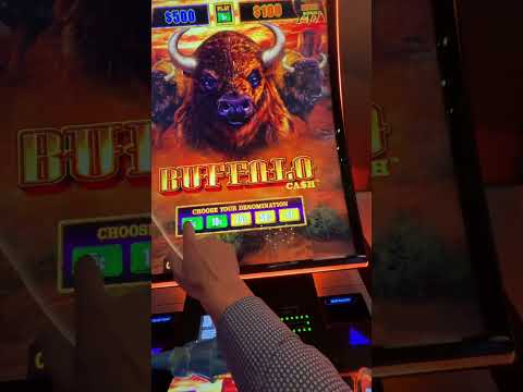 Experience Chicken Road Game Play in English: Online Casino Fun for UK Players